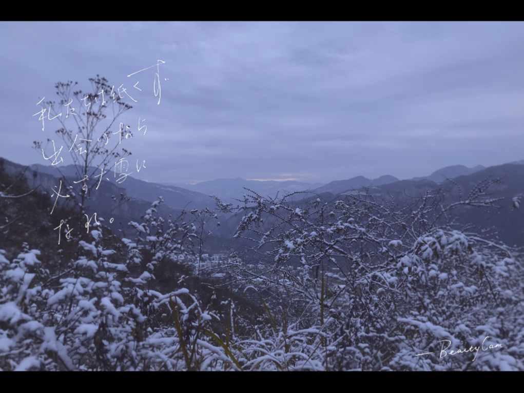 塞尔达：荒野之息